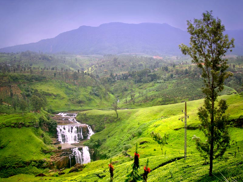 Nuwaraeliya - airporttransferssrilanka